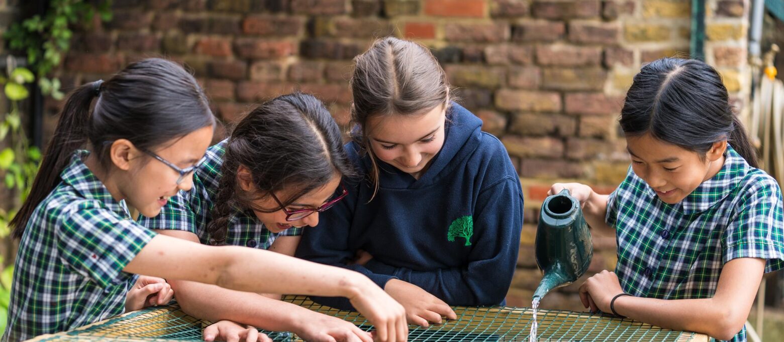 students pouring water into a cage