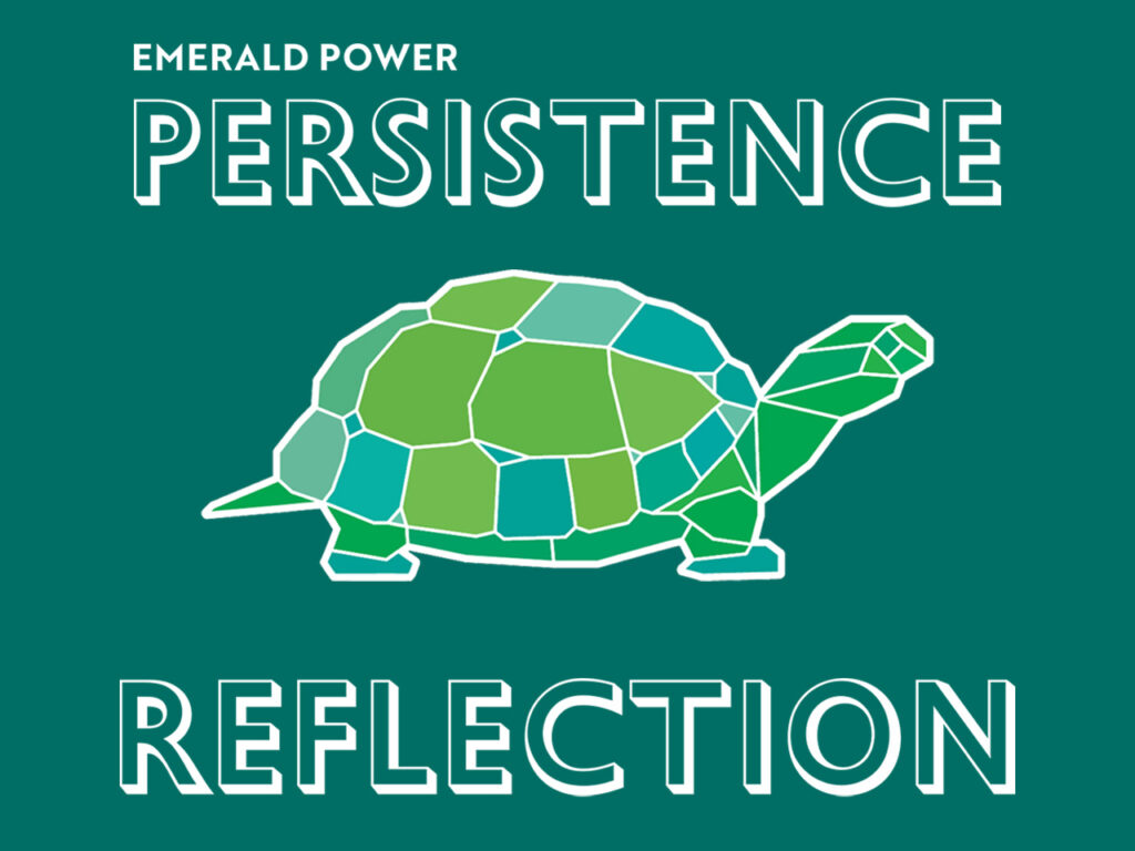 persistence and reflection