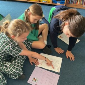 4I (3) (Medium)