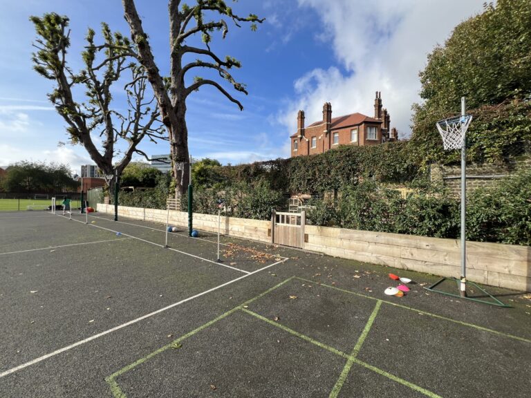 Public outdoor basketball court with faded green lines, a tall pruned tree on the left, and a red-brick building in the background under a blue sky—sunny day.