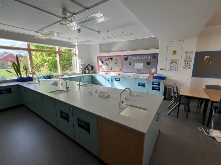 Bright science lab with long white countertops, blue cabinets, and sinks, near large windows with greenery outside.