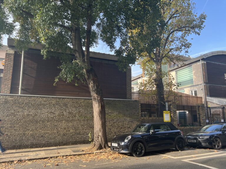 Tree-lined city street with a brick wall, parked black cars, and a modern building in the background on a sunny day.